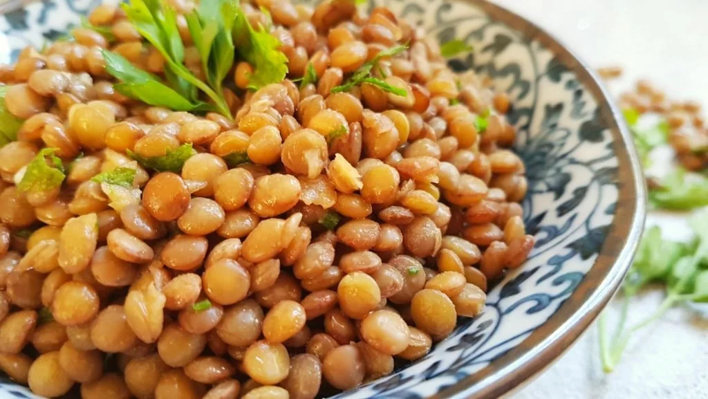 סלט עדשים חומות עם עשבי תיבול טריים