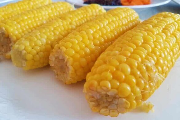 תירס חם מבושל